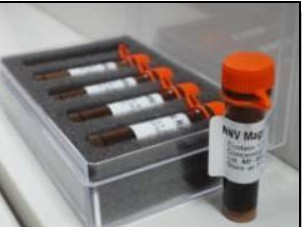 Qbeads-Silica 核酸分離純化磁性微球