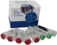 HelixAmp 動植物、血液樣本直接 RT-PCR試劑盒