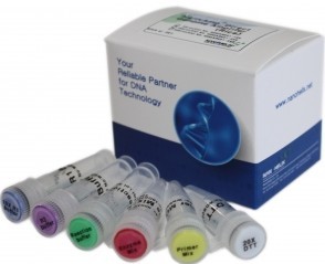 HelixAmp 水稻組織直接基因組擴增(WGA)試劑盒