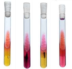 Hylabs腸道菌鑒定管