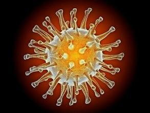 BiosynexȾ\ԇУzw𷨣